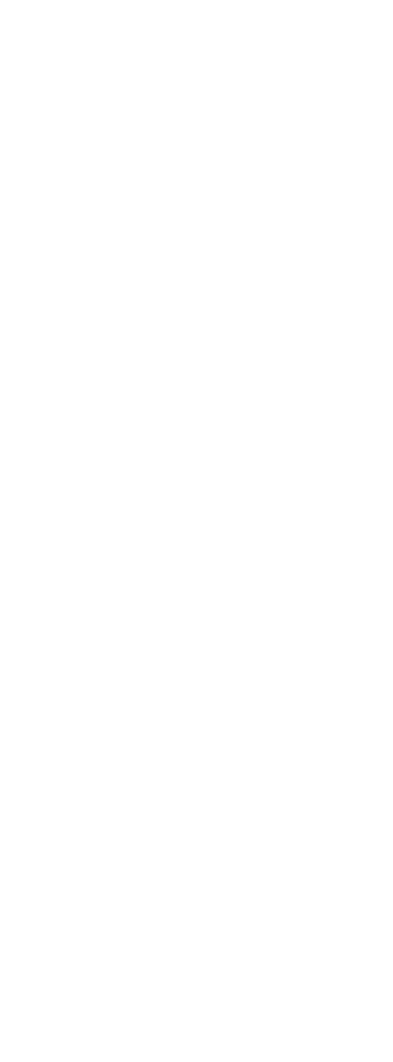 Cargadora de 5 toneladas