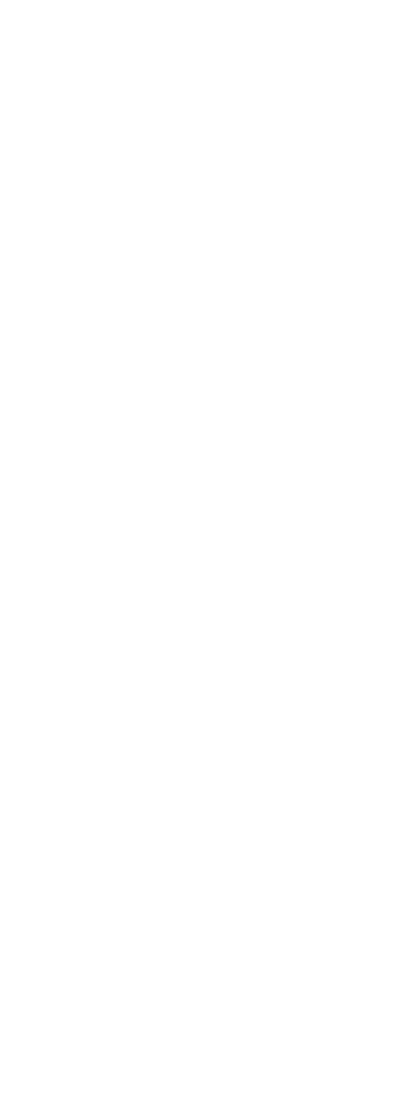 Cargador de ruedas eléctrico AEC06