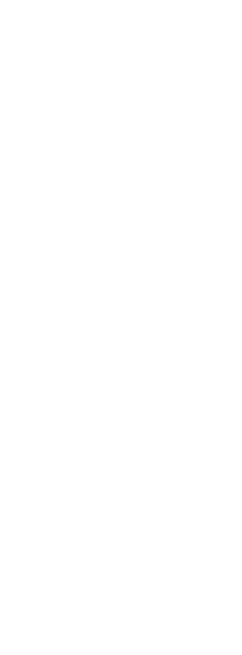 APILADOR DE PALETAS ELÉCTRICO-CDDW20